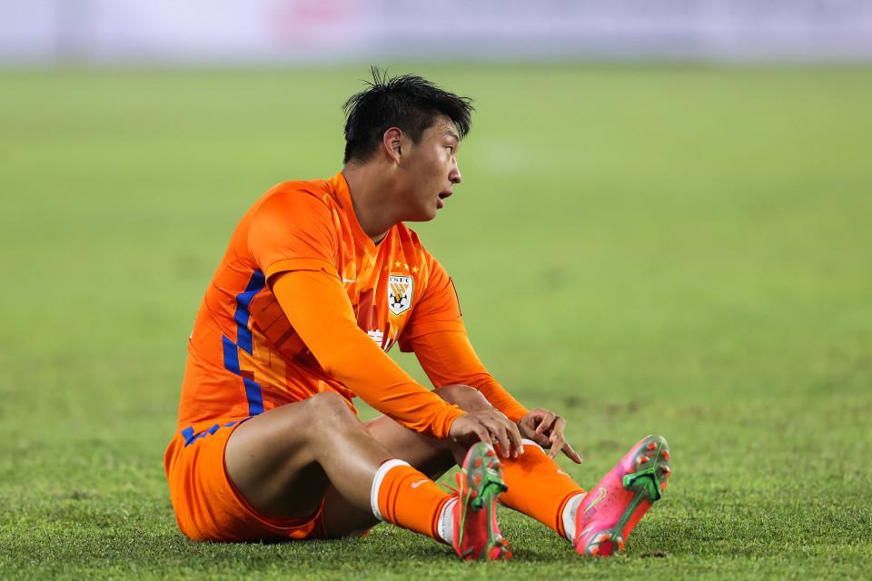 http, net, 郭田雨在直